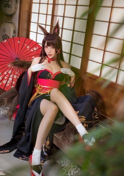 猫和老鼠全集185集免费